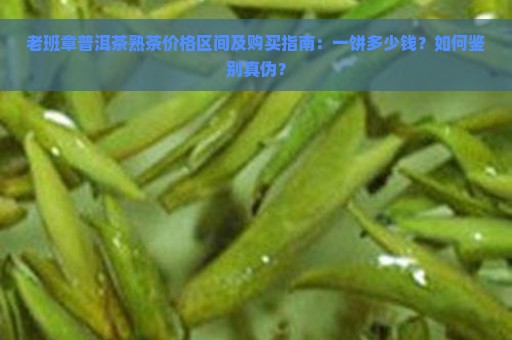 老班章普洱茶熟茶价格区间及购买指南：一饼多少钱？如何鉴别真伪？