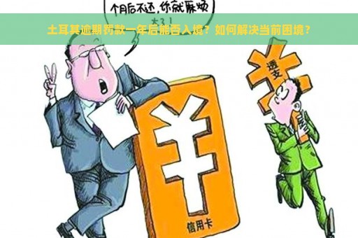 土耳其逾期罚款一年后能否入境？如何解决当前困境？