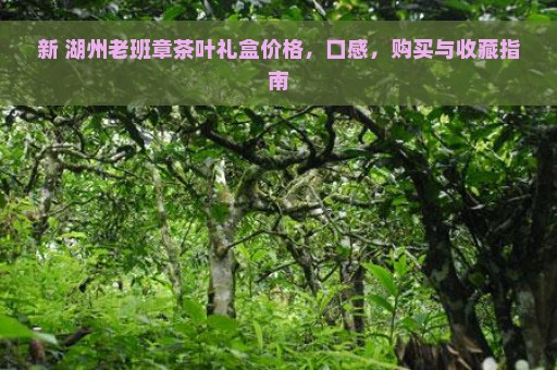 新 湖州老班章茶叶礼盒价格，口感，购买与收藏指南