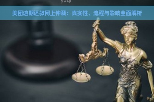 美团逾期还款网上仲裁：真实性、流程与影响全面解析