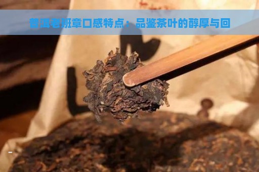 普洱老班章口感特点：品鉴茶叶的醇厚与回