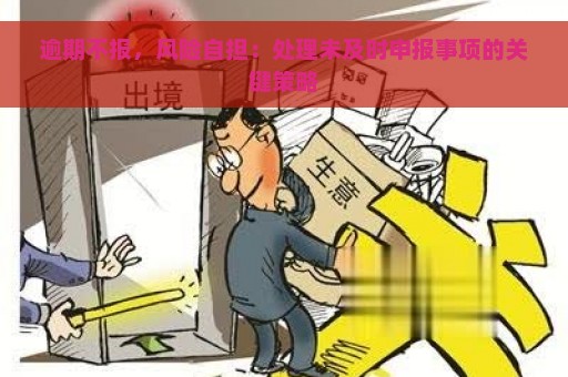 逾期不报，风险自担：处理未及时申报事项的关键策略