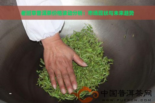 老班章普洱茶价格波动分析：市场现状与未来趋势