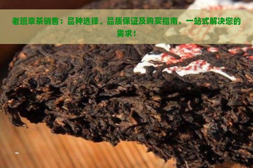 老班章茶销售：品种选择、品质保证及购买指南，一站式解决您的需求！