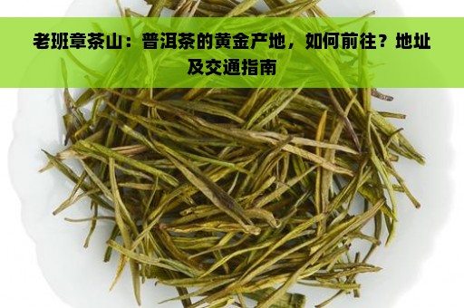 老班章茶山：普洱茶的黄金产地，如何前往？地址及交通指南