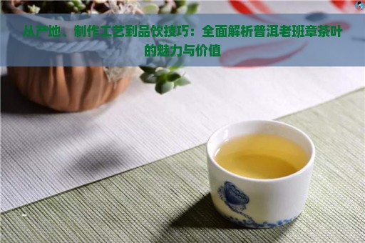 从产地、制作工艺到品饮技巧：全面解析普洱老班章茶叶的魅力与价值