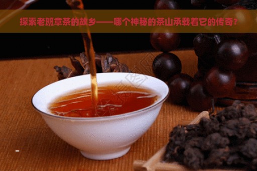 探索老班章茶的故乡——哪个神秘的茶山承载着它的传奇？