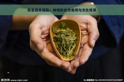 班章雨林探险：神秘的自然奇观与文化传承