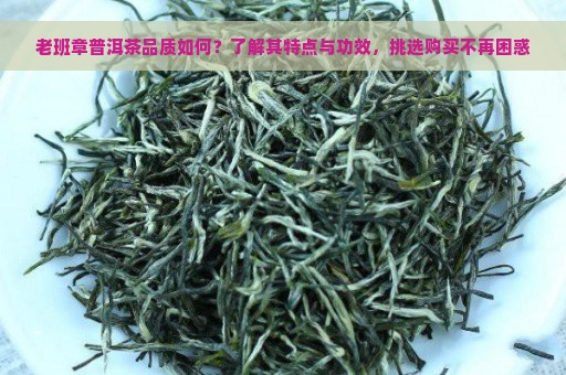 老班章普洱茶品质如何？了解其特点与功效，挑选购买不再困惑