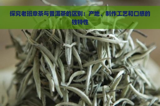 探究老班章茶与普洱茶的区别：产地、制作工艺和口感的独特性