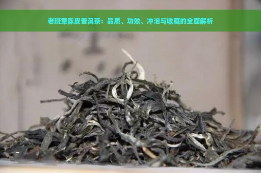 老班章陈皮普洱茶：品质、功效、冲泡与收藏的全面解析