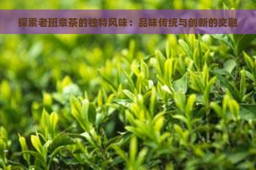 探索老班章茶的独特风味：品味传统与创新的交融