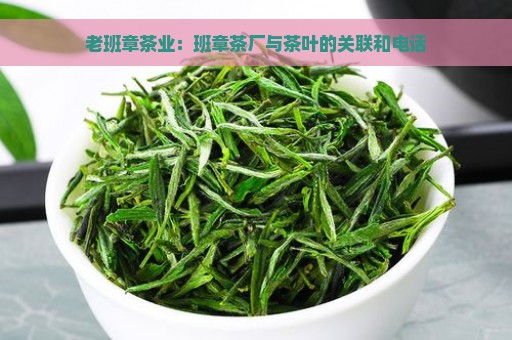 老班章茶业：班章茶厂与茶叶的关联和电话