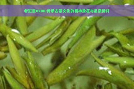 老班章8288:传承古茶文化的精神象征与品质标杆