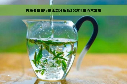 兴海老班章行情走势分析及2020年生态木发展