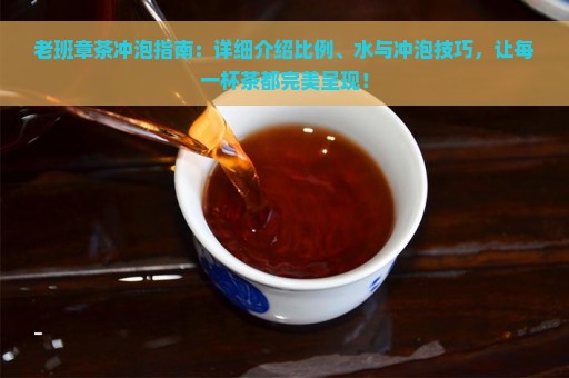 老班章茶冲泡指南：详细介绍比例、水与冲泡技巧，让每一杯茶都完美呈现！