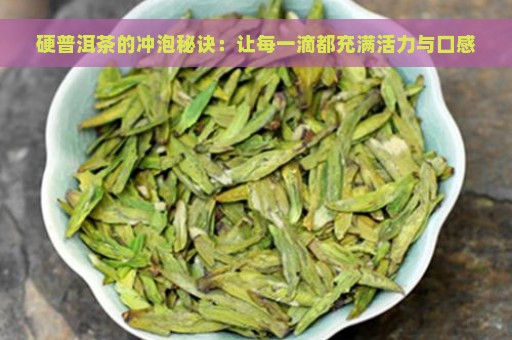 硬普洱茶的冲泡秘诀：让每一滴都充满活力与口感