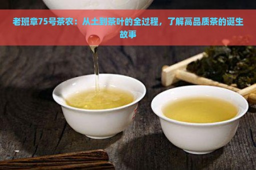 老班章75号茶农：从土到茶叶的全过程，了解高品质茶的诞生故事