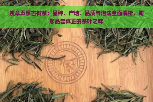 班章五寨古树茶：品种、产地、品质与泡法全面解析，助您品尝真正的茶叶之味