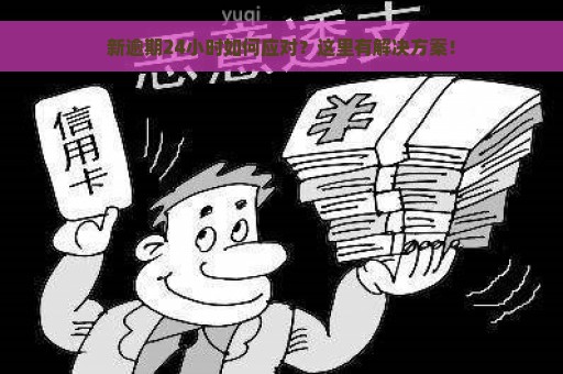 新逾期24小时如何应对？这里有解决方案！