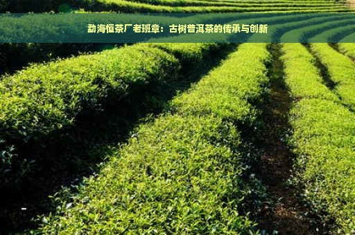 勐海恒茶厂老班章：古树普洱茶的传承与创新