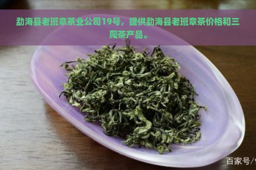 勐海县老班章茶业公司19号，提供勐海县老班章茶价格和三爬茶产品。