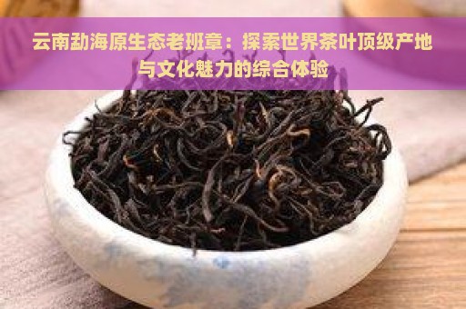 云南勐海原生态老班章：探索世界茶叶顶级产地与文化魅力的综合体验