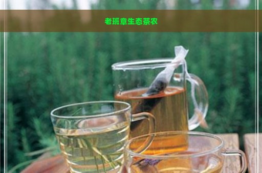 老班章生态茶农