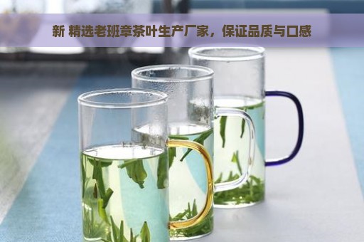 新 精选老班章茶叶生产厂家，保证品质与口感