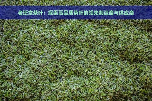 老班章茶叶：探索高品质茶叶的领先制造商与供应商