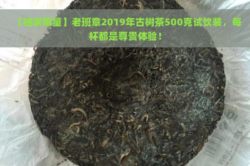 【独家限量】老班章2019年古树茶500克试饮装，每杯都是尊贵体验！