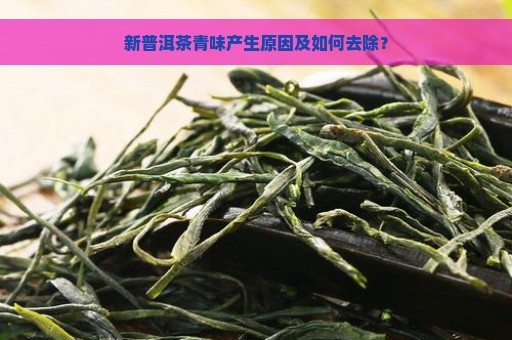 新普洱茶青味产生原因及如何去除？