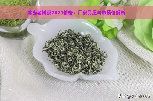 冰岛老树茶2021价格：厂家品质与市场价解析