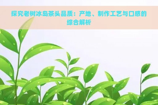 探究老树冰岛茶头品质：产地、制作工艺与口感的综合解析