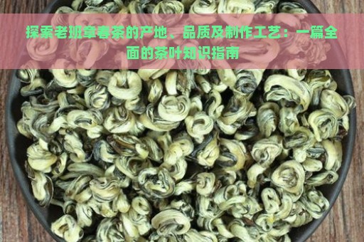 探索老班章春茶的产地、品质及制作工艺：一篇全面的茶叶知识指南