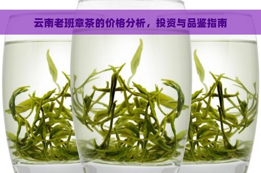 云南老班章茶的价格分析，投资与品鉴指南