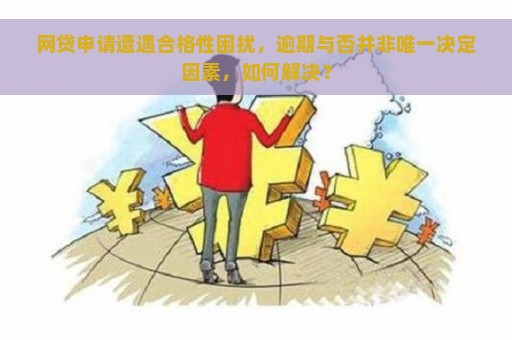 网贷申请遭遇合格性困扰，逾期与否并非唯一决定因素，如何解决？