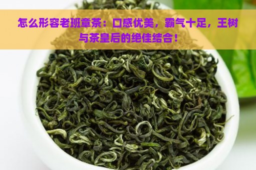 怎么形容老班章茶：口感优美，霸气十足，王树与茶皇后的绝佳结合！