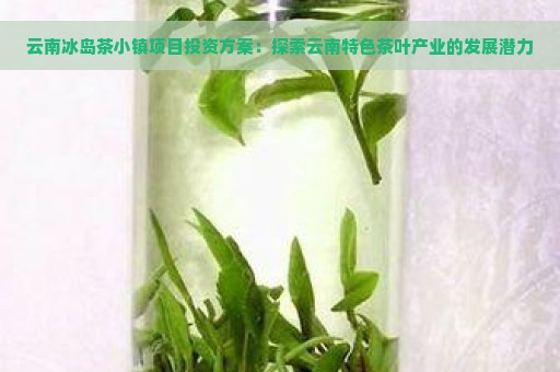 云南冰岛茶小镇项目投资方案：探索云南特色茶叶产业的发展潜力