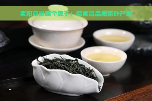 老班章是哪个牌子：探索高品质茶叶产地