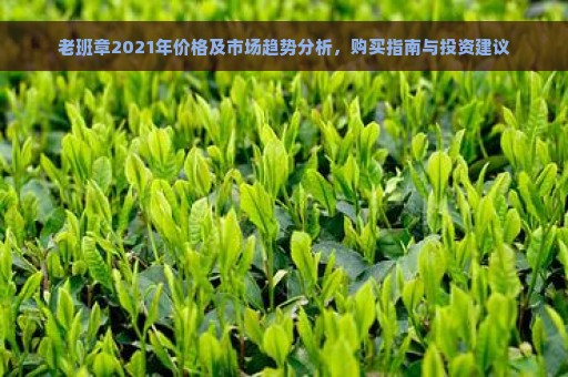 老班章2021年价格及市场趋势分析，购买指南与投资建议