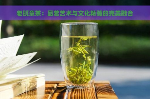 老班章茶：品茗艺术与文化精髓的完美融合