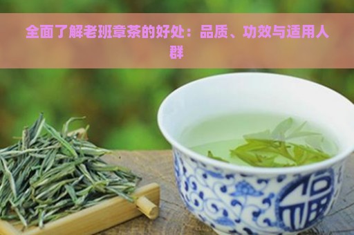 全面了解老班章茶的好处：品质、功效与适用人群