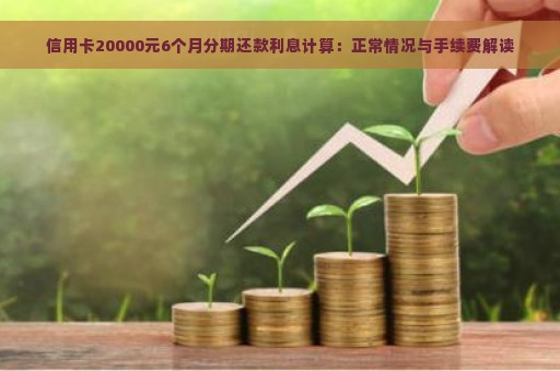 信用卡20000元6个月分期还款利息计算：正常情况与手续费解读