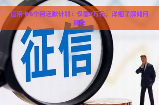 信用卡6个月还款计划：仅需2万元，详细了解如何操作