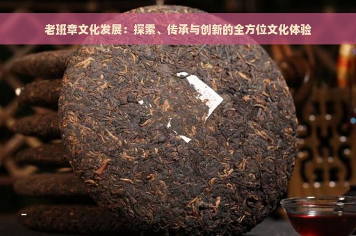 老班章文化发展：探索、传承与创新的全方位文化体验