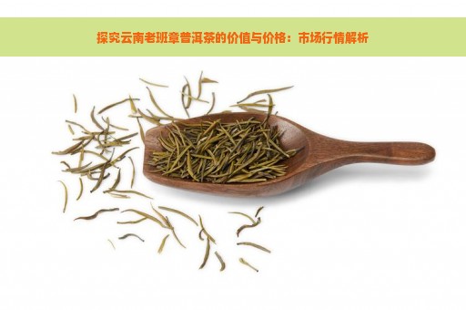 探究云南老班章普洱茶的价值与价格：市场行情解析