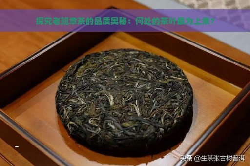 探究老班章茶的品质奥秘：何处的茶叶最为上乘？