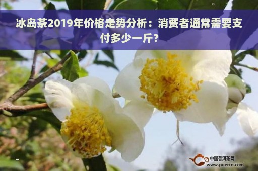 冰岛茶2019年价格走势分析：消费者通常需要支付多少一斤？