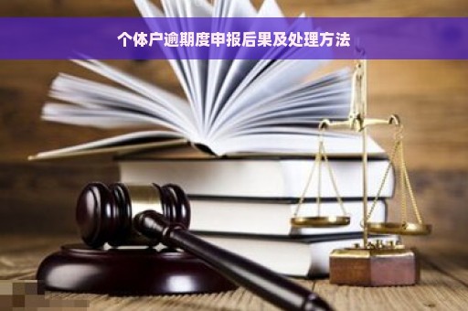 个体户逾期度申报后果及处理方法